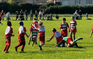 TOURNOI EDR M10 COLMAR - 11.10.2025