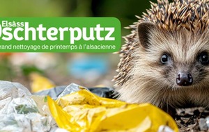 HAUT RHIN PROPRE