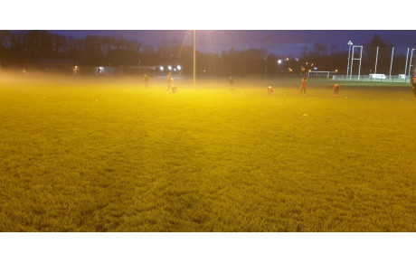 CLIN D'OEIL IRLANDAIS