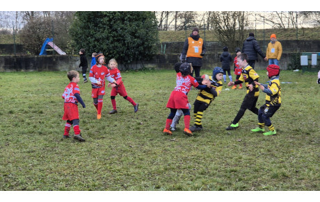 M8 - PLATEAU ENSISHEIM