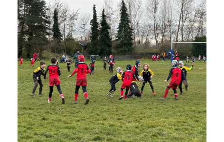 M10 - PLATEAU ENSISHEIM