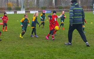 TOURNOI M8 ILLKIRCH - 16.11.2024