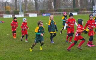 TOURNOI M8 ILLKIRCH - 16.11.2024